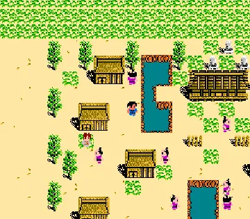 Shin Satomi Hakken-Den - Hikari to Yami no Tatakai (Japan) screen shot game playing